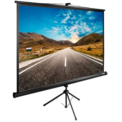 Купить Экран Cactus 200x200см TriExpert CS-PSTE-200x200-BK 1:1 напольный рулонный черный в Липецке