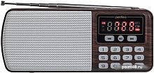 Купить Радиоприемник Perfeo Егерь i120-BK в Липецке