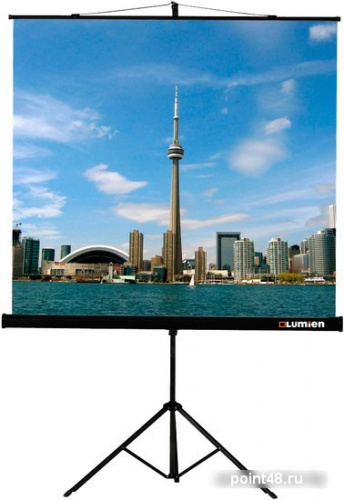 Купить Экран LUMIEN Eco View, 160х160 см, 1:1 в Липецке
