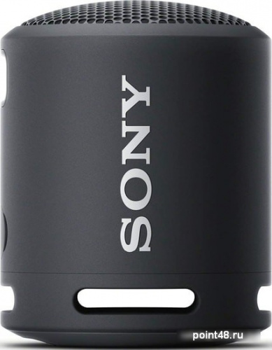 Купить Портативная акустика SONY SRS-XB13B Беспроводная колонка, черный в Липецке фото 2