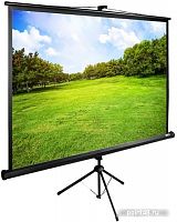 Купить Экран Cactus 150x200см TriExpert CS-PSTE-200x150-BK 4:3 напольный рулонный черный в Липецке