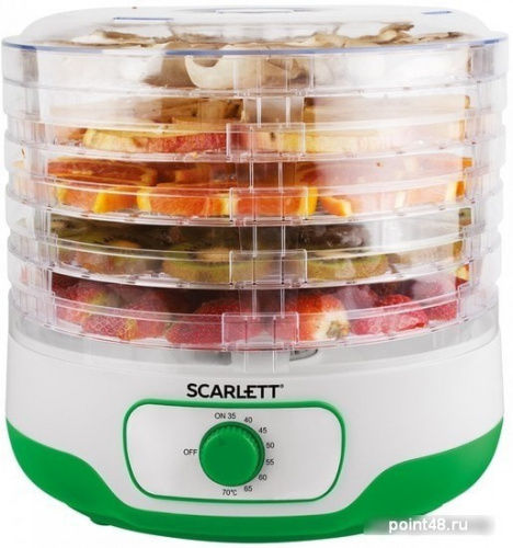 Купить Сушка для фруктов и овощей Scarlett SC-FD421015 5под. 250Вт зеленый в Липецке фото 2