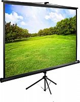 Купить Экран Cactus 180x180см TriExpert CS-PSTE-180x180-BK 1:1 напольный рулонный черный в Липецке