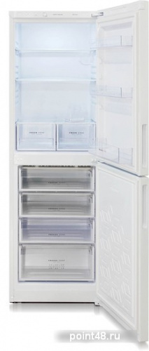 Холодильник Бирюса Б-6031 белый (двухкамерный) в Липецке фото 2