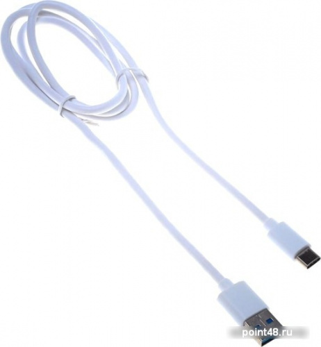 Купить Кабель Buro BHP USB3-TPC USB (m)-USB Type-C (m) 1.8м в Липецке фото 2