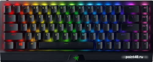 Купить Клавиатура Razer Blackwidow V3 Mini HyperSpeed Yellow Switch в Липецке