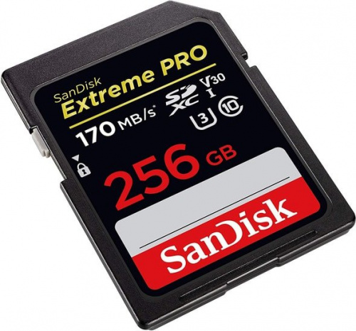 Купить Флеш карта SDXC 256Gb Class10 Sandisk SDSDXXY-256G-GN4IN Extreme Pro в Липецке фото 2
