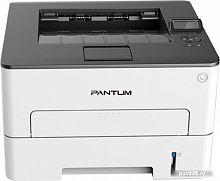 Купить Принтер лазерный Pantum P3010DW A4 Duplex WiFi в Липецке