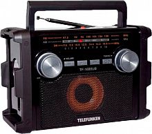 Купить Радиоприемник TELEFUNKEN TF-1690UB в Липецке