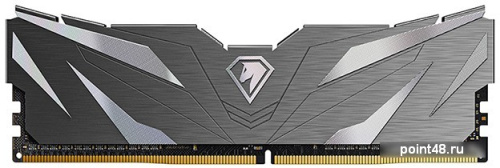 Оперативная память Netac Shadow II Black 8ГБ DDR4 2666МГц NTSWD4P26SP-08K