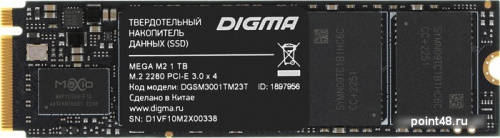 SSD Digma Mega M2 1TB DGSM3001TM23T