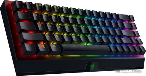 Купить Клавиатура Razer Blackwidow V3 Mini HyperSpeed Yellow Switch в Липецке фото 2