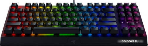 Купить Клавиатура Razer BlackWidow V3 Tenkeyless Green Switch в Липецке фото 2