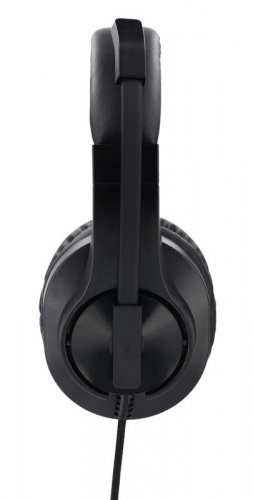 Купить Наушники с микрофоном Hama HS-P300 черный 2м накладные оголовье (00139925) в Липецке фото 4