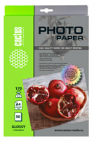 Купить Фотобумага Cactus CS-GA417050 A4/170г/м2/50л./белый глянцевое для струйной печати в Липецке