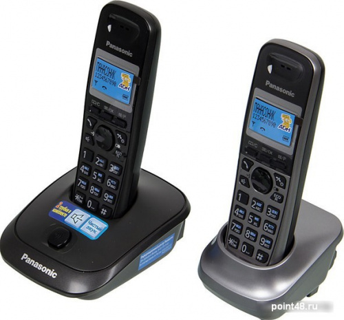 Купить Радиотелефон Panasonic KX-TG2512RU2 в Липецке фото 2