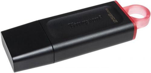 Купить Флеш Диск Kingston 256Gb DataTraveler Exodia DTX/256GB USB3.1 черный/красный в Липецке фото 2