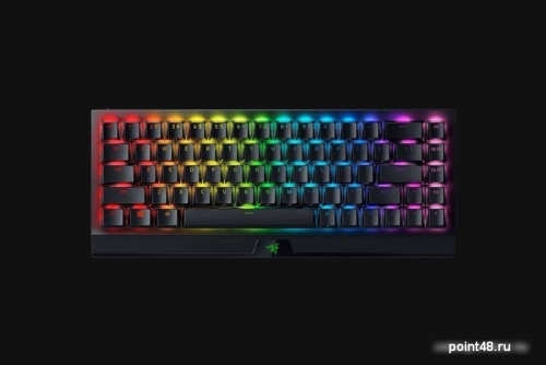 Купить Клавиатура Razer Blackwidow V3 Mini HyperSpeed Yellow Switch в Липецке фото 3