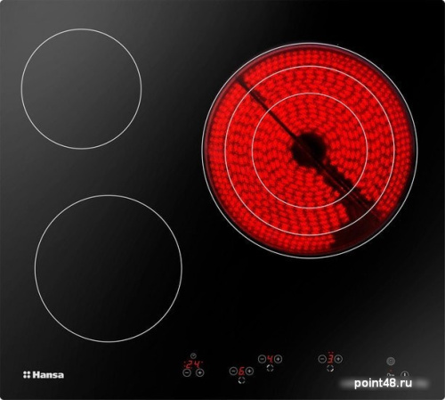 Варочная панель Hansa BHC66216 в Липецке