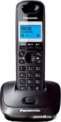 Купить Беспроводной телефон PANASONIC KX-TG2511RUT, темно-серый металлик и черный в Липецке