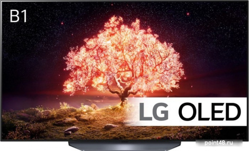 Купить OLED телевизор LG OLED55B1RLA в Липецке