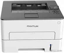 Купить Принтер Pantum P3308DW в Липецке
