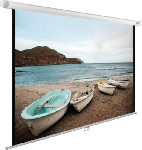 Купить Экран Cactus 125x200см WallExpert CS-PSWE-200x125-WT 16:10 настенно-потолочный рулонный в Липецке