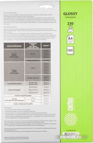 Купить Бумага CACTUS CS-GA4230100, для струйной печати, 230г/м2, 100 листов, 21x29.7 см в Липецке