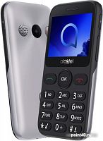 Мобильный телефон Alcatel 2019G серебристый моноблок 1Sim 2.4 240x320 Thread-X 2Mpix GSM900/1800 GSM1900 FM microSD max32Gb в Липецке