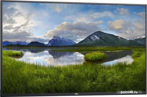 Купить Монитор Dell 54 C5519Q черный IPS LED 8ms 16:9 HDMI матовая 4000:1 350cd 178гр/178гр 3840x2160 D-Sub DisplayPort Ultra HD USB в Липецке фото 2
