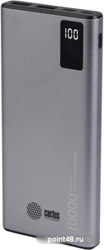 Мобильный аккумулятор Cactus CS-PBFSLT-10000 10000mAh 3A 2xUSB серый в Липецке