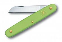 Купить Нож перочинный Victorinox EcoLine Floral (3.9050.47B1) 100мм 1функций салатовый блистер в Липецке