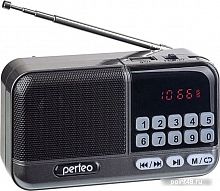 Купить Радиоприемник Perfeo Aspen i20 PF-B4060 в Липецке