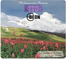 Купить Напольные весы Beon BN-1106 в Липецке