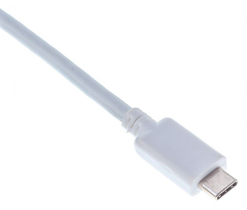 Купить Переходник Buro BHP RET TPC-HDM USB Type-C (m) HDMI (f) USB 3.0 A(f) USB Type-C (f) белый в Липецке фото 4