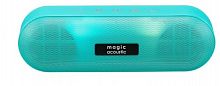 Купить Портативная акустика MAGIC ACOUSTIC SK1025GN ( SK1019GN) зеленый в Липецке