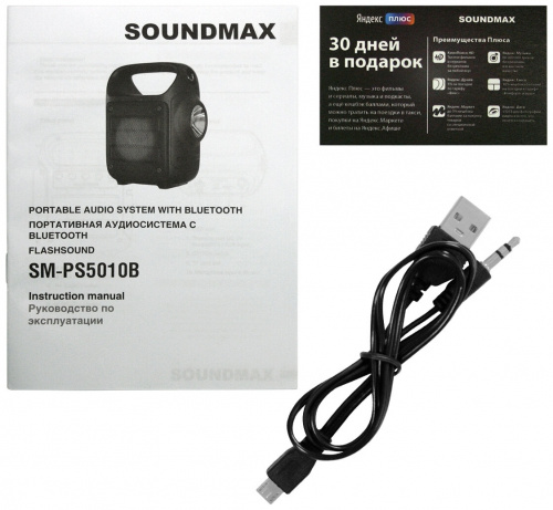 Купить Портативная акустика SOUNDMAX SM-PS5010B (черный) в Липецке фото 5