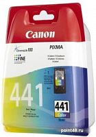 Купить Картридж ориг. Canon CL-441 цветной для Canon PIXMA MG-2140/3140 (180стр) в Липецке