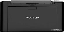 Купить Принтер лазерный Pantum P2500NW A4 Net WiFi в Липецке