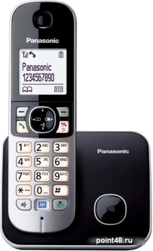 Купить Радиотелефон Panasonic KX-TG6811RUB в Липецке