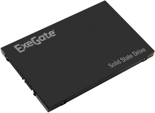 SSD ExeGate Next Pro+ 256GB EX280462RUS