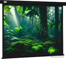 Купить Проекционный экран CACTUS Wallscreen 213x213 CS-PSW-213X213-BK в Липецке