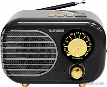 Купить Радиоприемник TELEFUNKEN TF-1682UB (черный/золотистый) в Липецке