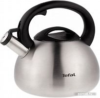 Купить Чайник металлический Tefal C7921024 2.5л. серебристый в Липецке