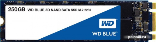 Накопитель SSD WD Original SATA III 250Gb WDS250G2B0B Blue M.2