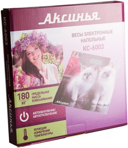 Купить Напольные весы Аксинья КС-6003 в Липецке фото 2