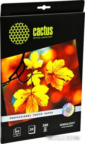 Купить Бумага CACTUS CS-SGA426020 для струйной печати, 260г/м2, 20 листов, 21x29.7 см в Липецке
