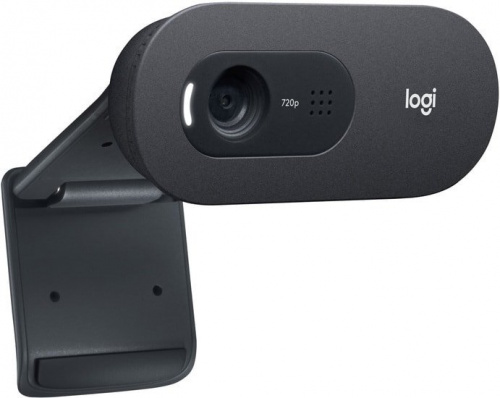 Купить Веб-камера Logitech C505 в Липецке фото 2
