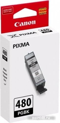 Купить Картридж струйный Canon PGI-480 PGBK 2077C001 черный (11.2мл) для Canon Pixma TS6140/TS8140TS/TS9140/TR7540/TR8540 в Липецке фото 2