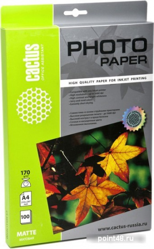 Купить Бумага CACTUS CS-MA4170100, для струйной печати, 170г/м2, 100 листов, 21x29.7 см в Липецке